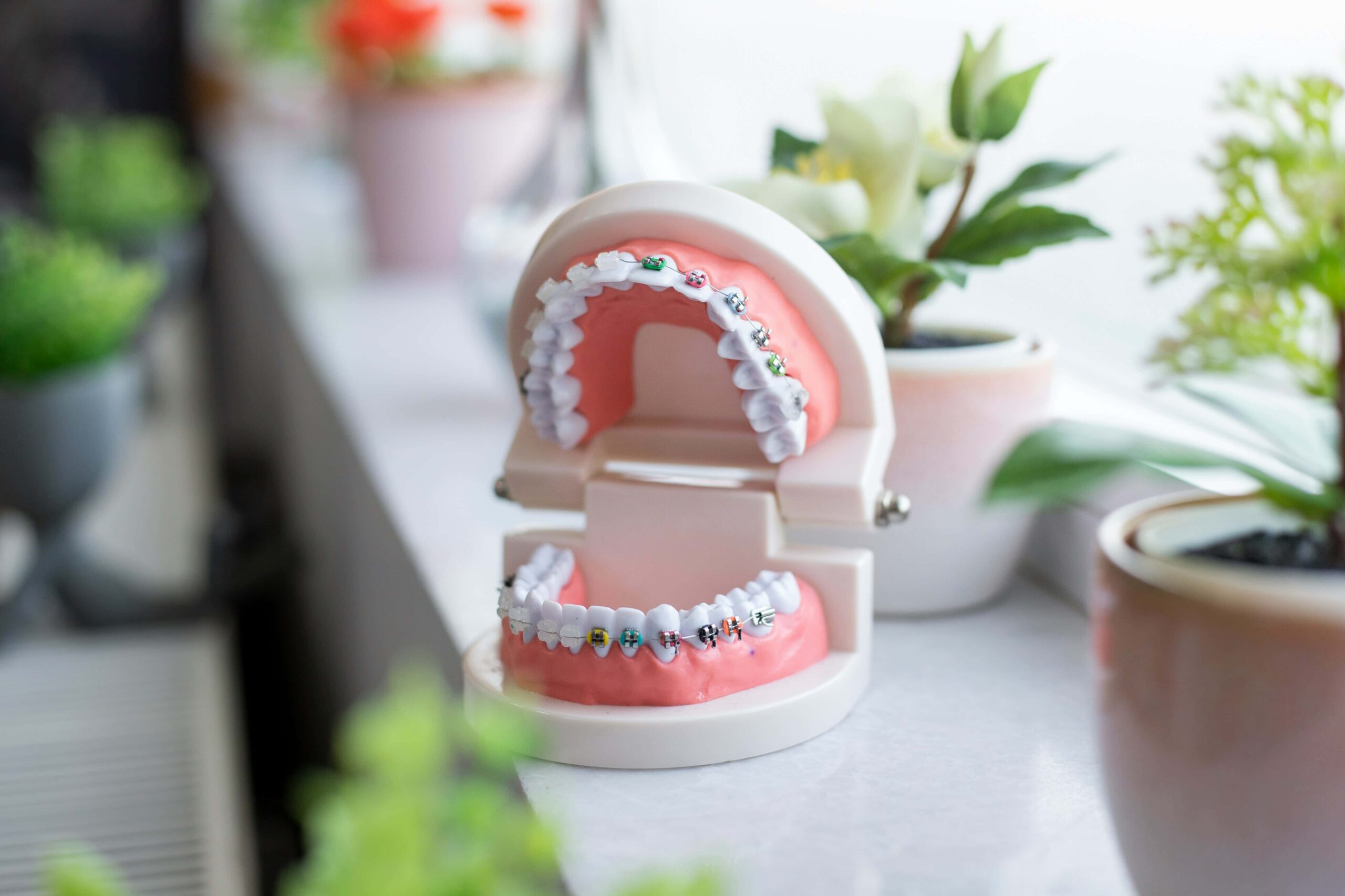 teeth model