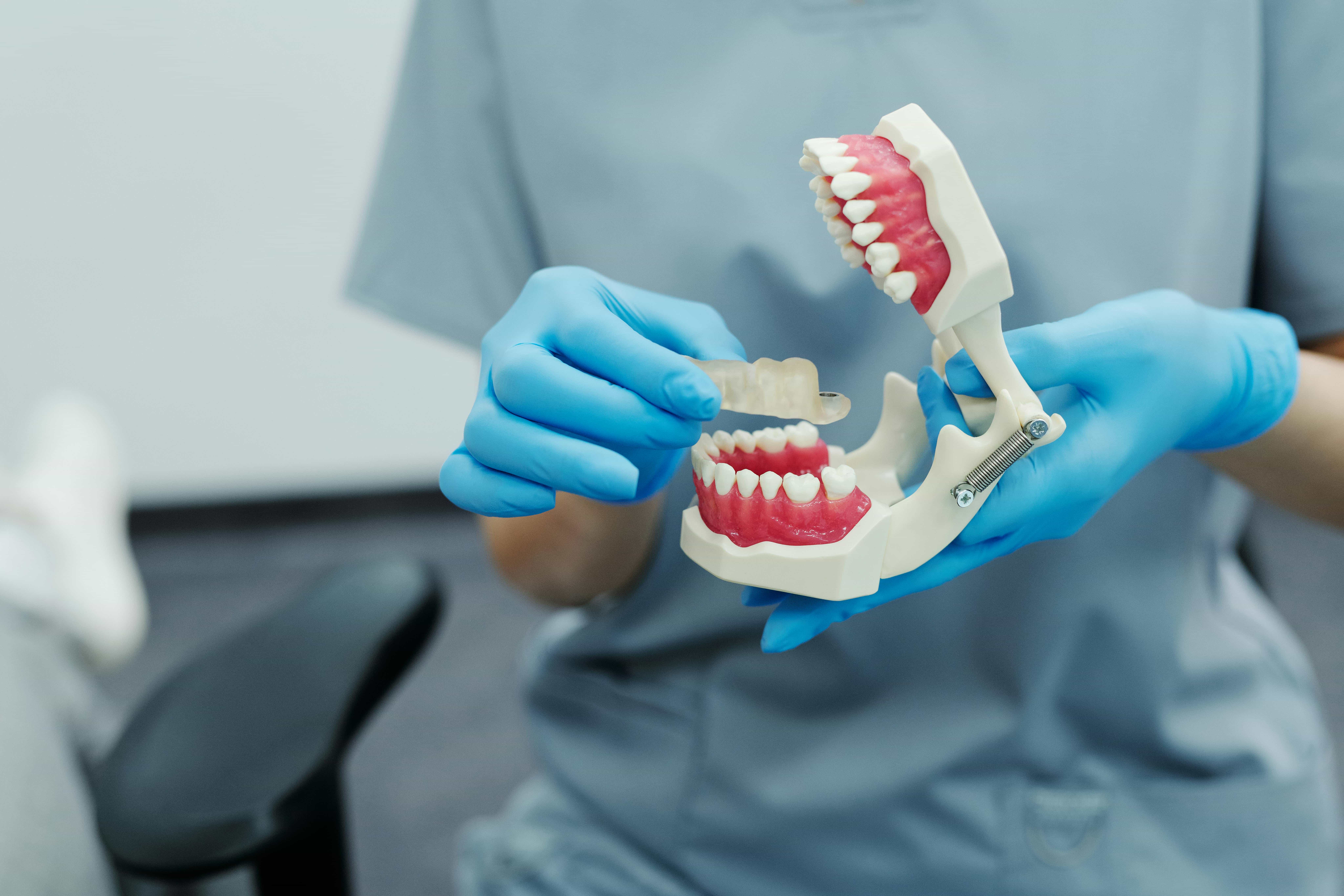 orthodontist holding teeth and retainer